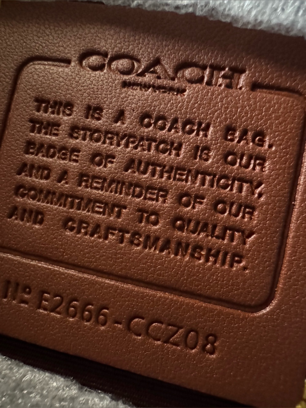 Coach Easton Tote bag in Signature Chenille - Picture 5 of 10